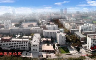 医学校区全景